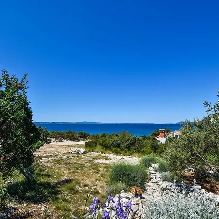 Holiday home House Jonathan *