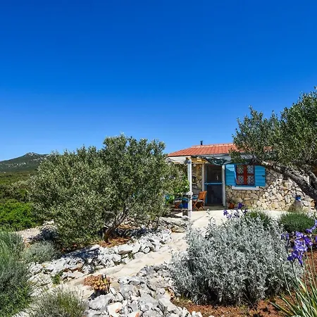 Holiday home House Jonathan